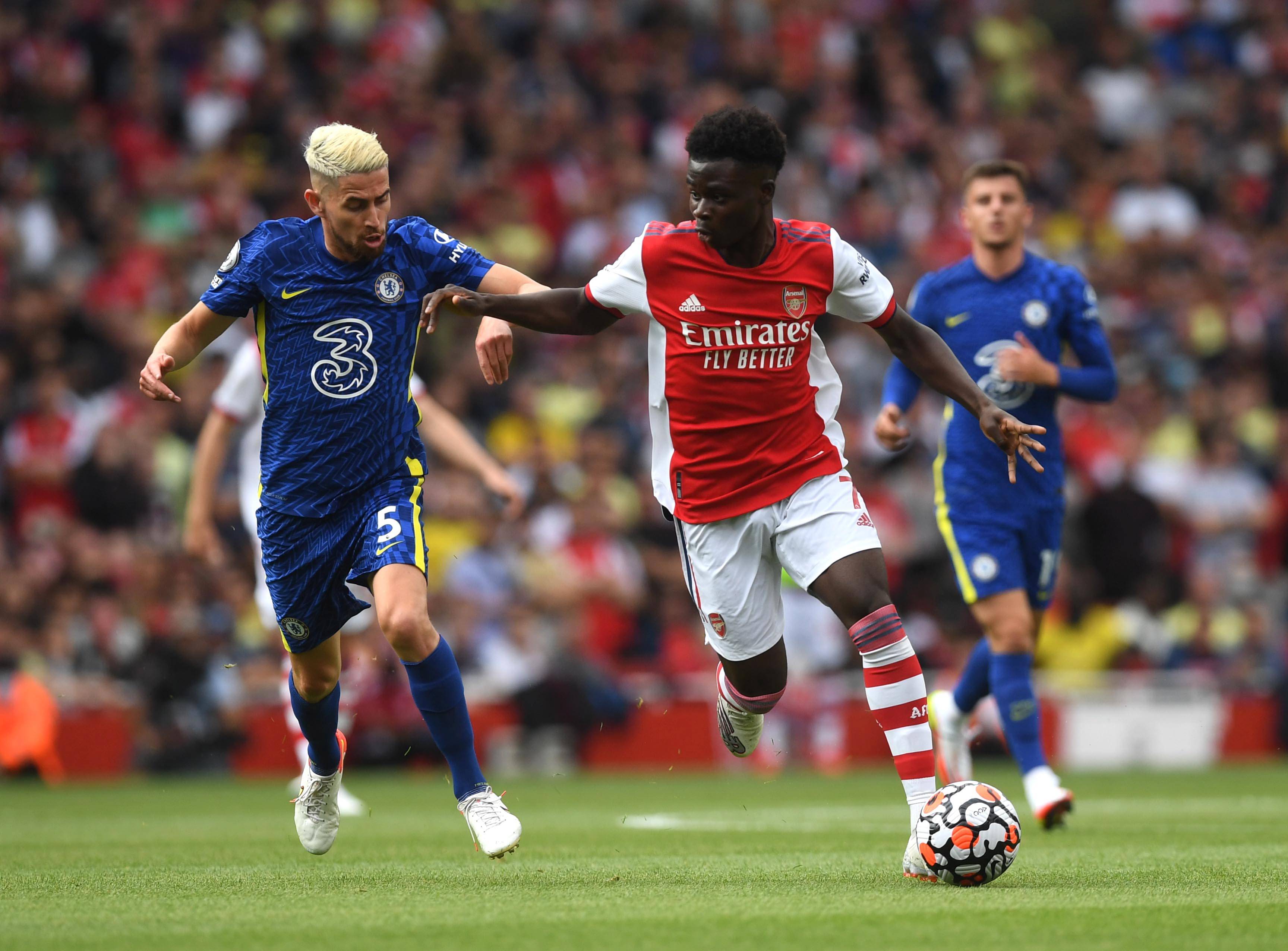 广厦篮球史 广厦篮球史